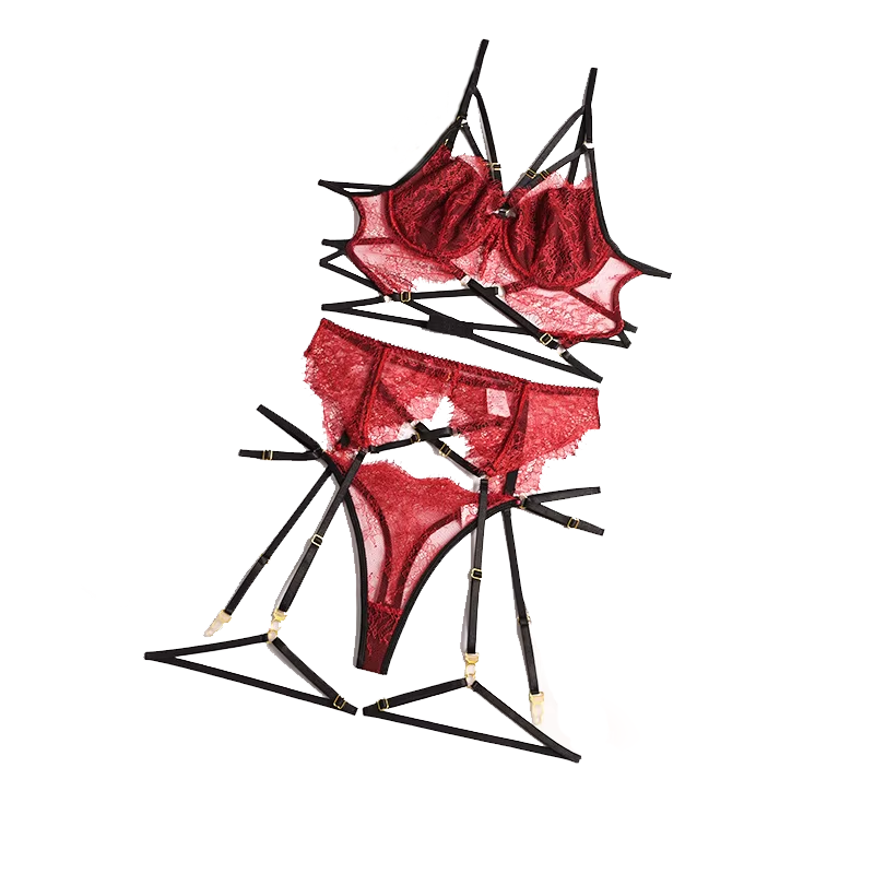 Sheer Bra Lace - New Lace Sexy Lingerie Transparent Hot